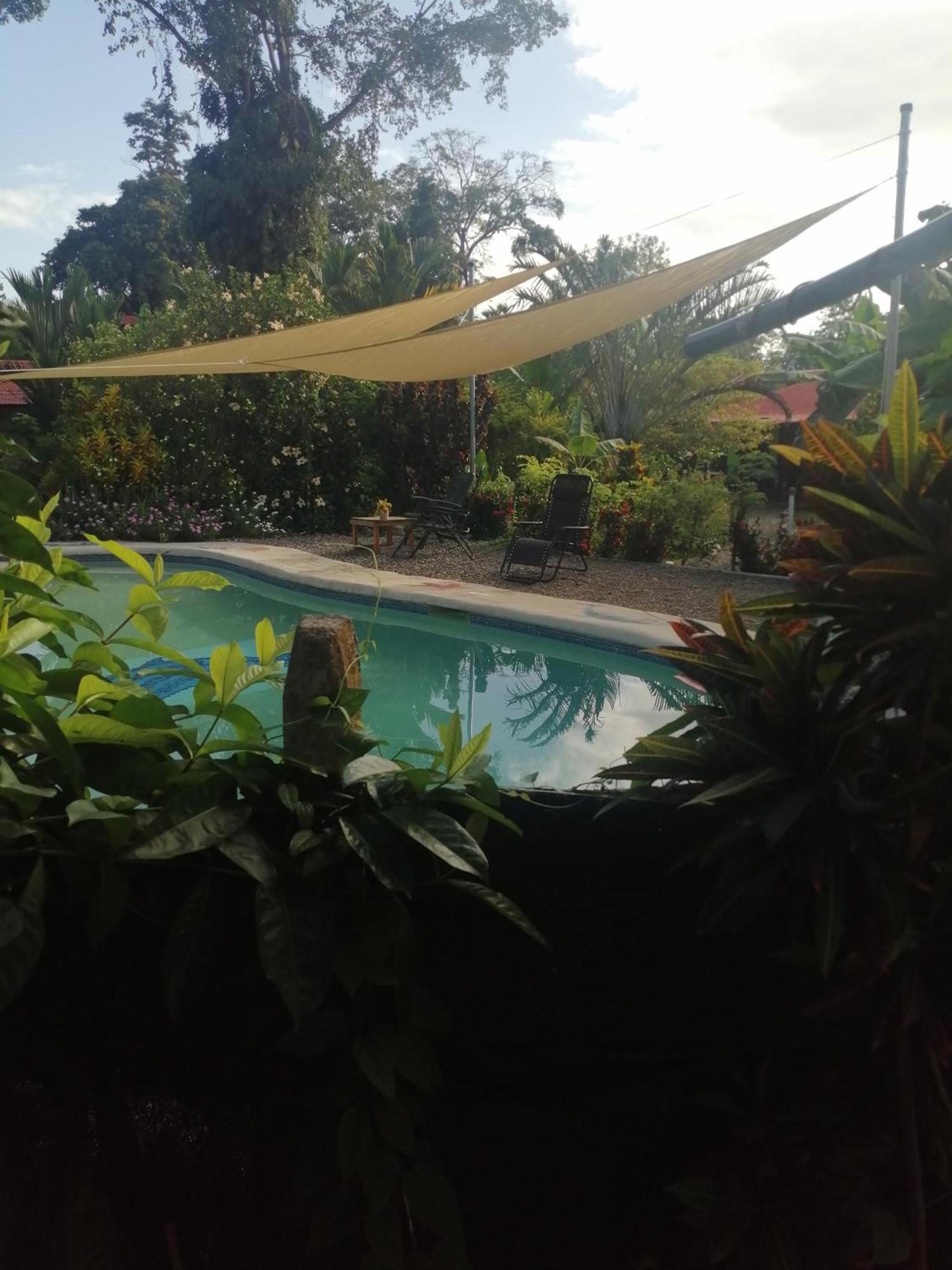 Cabinas Los Tucanes Cahuita Quarto foto
