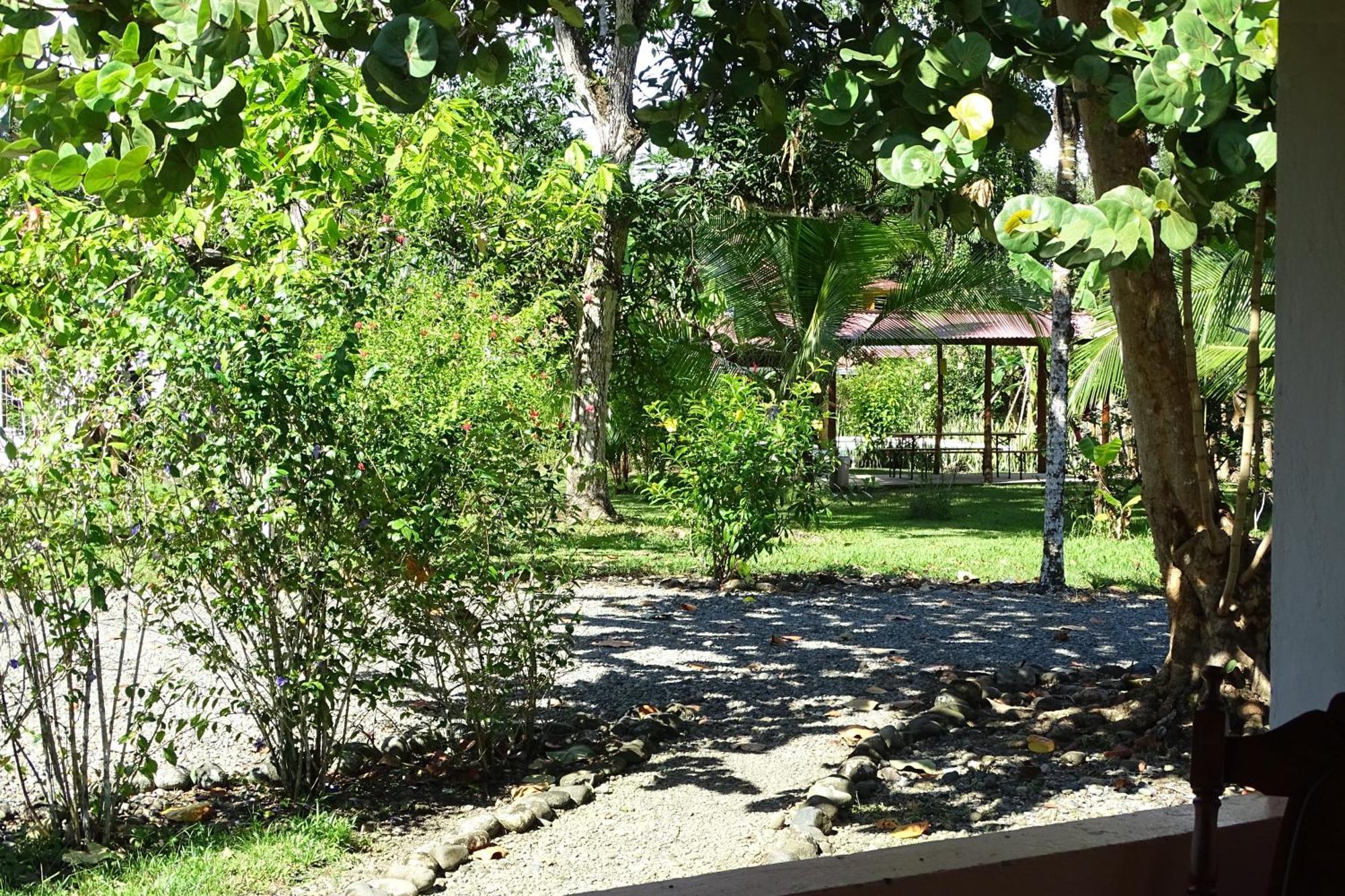 Cabinas Los Tucanes Cahuita Quarto foto
