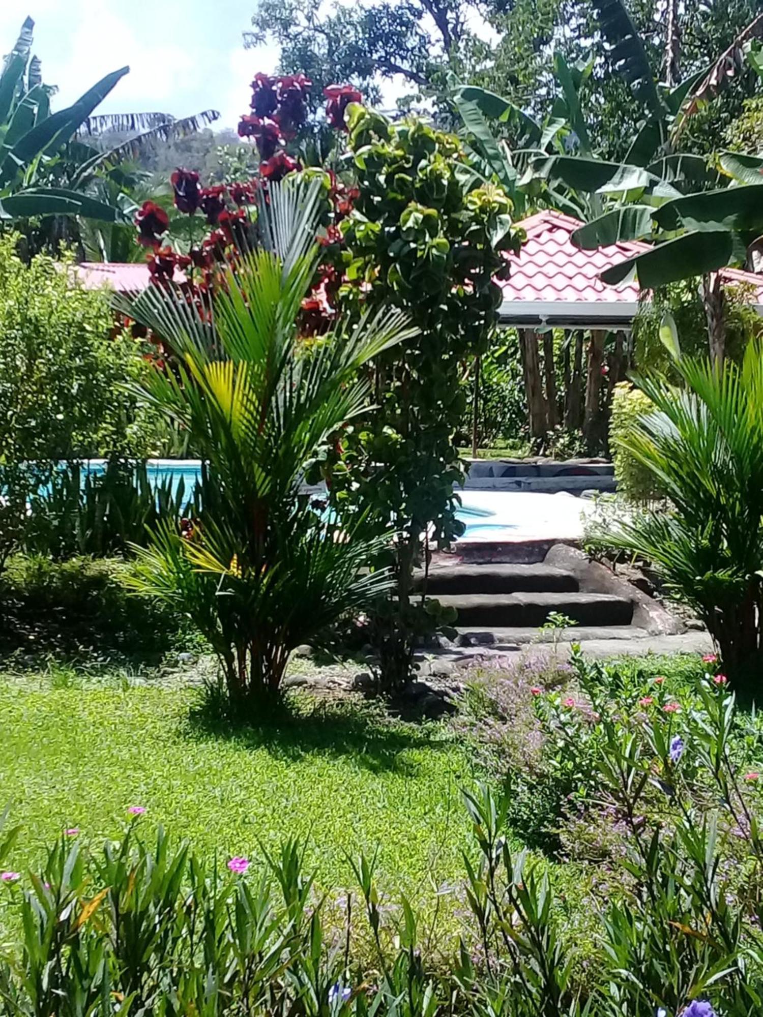 Cabinas Los Tucanes Cahuita Exterior foto